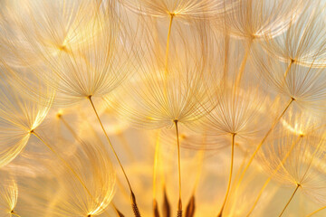 Would you like me to generate an image based on this too?