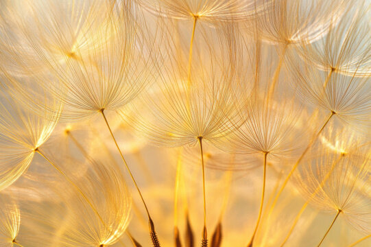 Would you like me to generate an image based on this too?