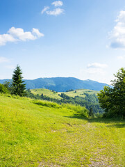 mountain landscape in summer. carpathian mountain range background. beautiful countryside with green meadows and rolling hills. sunny afternoon. weekend wanderlust scenery
