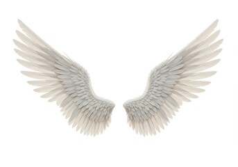 Fototapeta premium 3D Illustration of Two white angel wings isolated on white background are spread apart