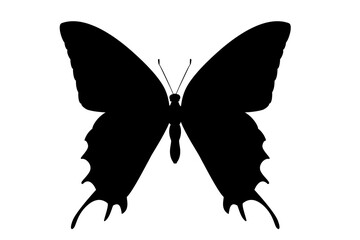 vector realistic silhouette butterfly. Cartoon black clip art isolated on transparent background. Hand drown design element.