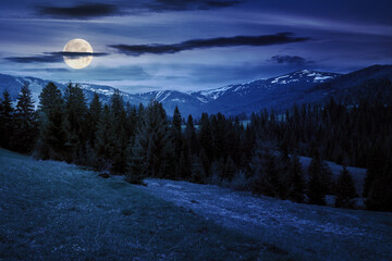 mountainous countryside landscape at night. coniferous forest on the hill in full moon light. snow capped distant ridge beneath a starry sky with dark clouds