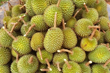 Top view of durian fruit on the floor 
