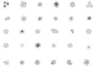 daizy flower hand made sketch illustration