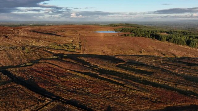 Bragan, County Monaghan, Ireland, September 2022. Drone flies over bog grasslands in a medium shot, revealing open pond water at the forest&rsquo;s edge under golden hour light.