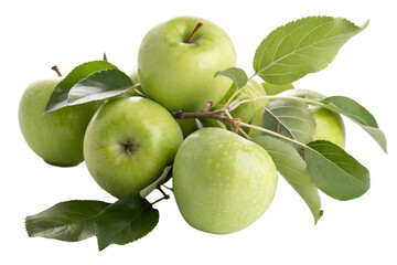 Fresh green apples isolated on transparent background