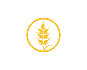 wheat Logo Template vectors