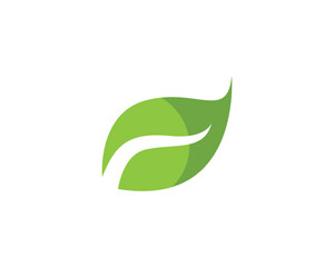 Obraz premium Leaf green leaves logo vector