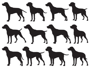 HUNGARIAN VIZSLA DOG SILHOUETTE