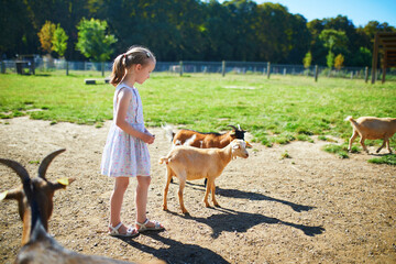 Adorable preschooler girl playing with little goats on a farm.