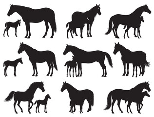 MARE AND FOAL SILHOUETTE