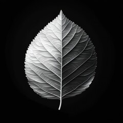 Detailed grayscale leaf design