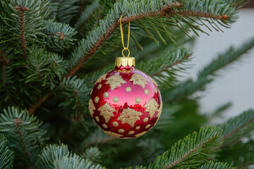 Christmas tree decorated with red and gold baubles hanging on green pine branches for holiday celebration