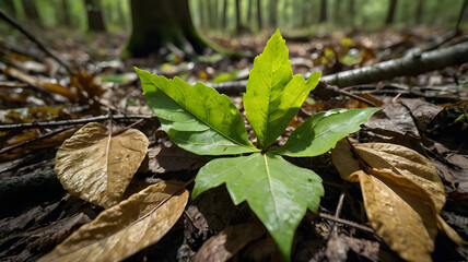 Hope and Resilience Concept with Green Leaf in Dead Foliage