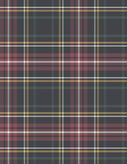 Illustration plaid twill  shirt fabric idea.
