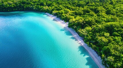Obraz premium Serene Aerial View of Tropical Beach Surrounded by Lush Greenery