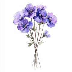 Naklejka premium Watercolor purple wildflower flowers illustration botanical.