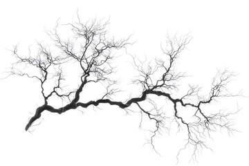 Fototapeta premium Wispy, Realistic Smoke Forming Delicate Tree-like Structures A Study in Abstract Art