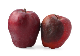 Whole rotten apple and healthy one isolated on white