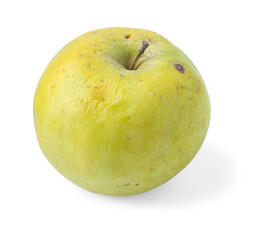 One whole rotten apple isolated on white