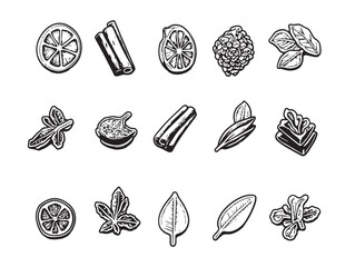 Clove Food Line Art Black and White Cooking Spice Outline