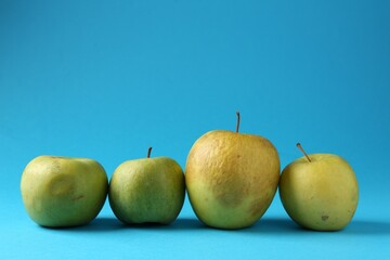 Damaged green apples on light blue background. Space for text