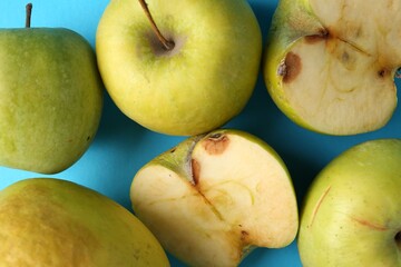 Damaged green apples on light blue background, closeup