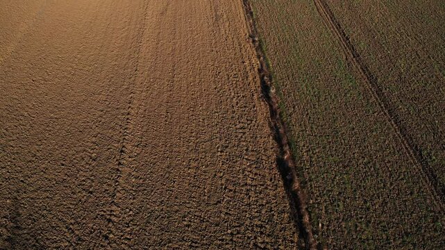 Exploring the serene agricultural landscape of Ub Serbia at sunrise
