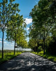 Street