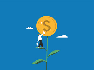 Growing Money Plant with Coin.