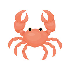 Cute cartoon crab character isolated on white background