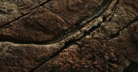 Close-up of layered sedimentary rock with pink tint and cracked ridges