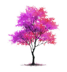 Fototapeta premium pink tree isolated on white