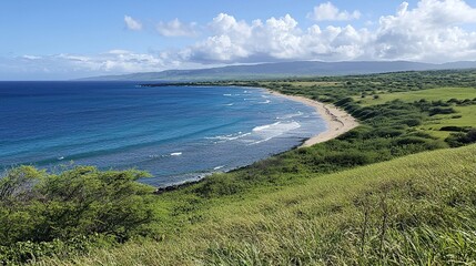 aerial view of the coast