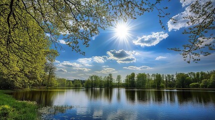 reflection of trees in the water