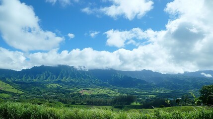 mountain landscape in the summer