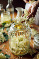 Preparation of elderflower syrup, a woman's hand with an elderberry flower is visible,  soft light with deep shadows, close up view.