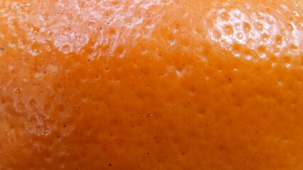 Close-up view of an orange fruit's textured skin.