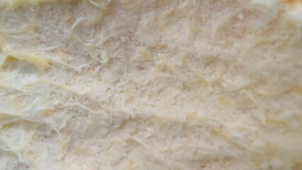 Close-up view of a textured surface.