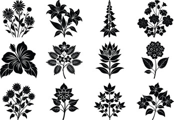 wildflower silhouette set,Symbolic illustration of a silhouette feverfew flower,Black cosmos flowers silhouettes on white background.