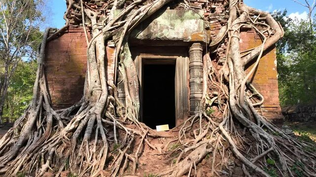 Walkthrough shot captures the ancient stone temple interior of Prasat Bram at Koh Ker, Cambodia, where thick, overgrown roots coil around its doorway.