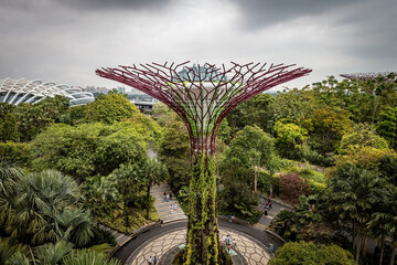 Gardens by the Bay view from the viewpoint Singapore