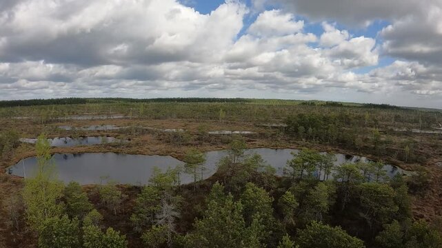 Wetland area of ​​Kemeri National Park in Latvia