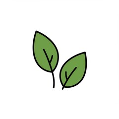Obraz premium Two green leaves isolated on white background, for botanical illustration and design.