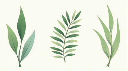 Fototapeta premium green leaves on white background