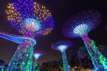 Gardens by the Bay futuristic trees illuminated at night Singapore