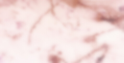 Seamless Color and Grunge Patterns in an Abstract Illustration
