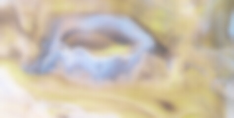 A Seamless Design of Light, Texture, and Water Patterns