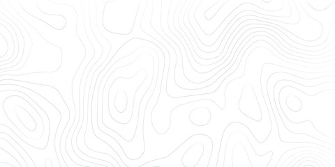 Topography background. Vector banner. Topography map background. Vector geographic contour map. Background of the topographic map. Topographic map lines, contour background. 