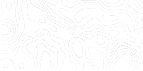 Topography background. Vector banner. Topography map background. Vector geographic contour map. Background of the topographic map. Topographic map lines, contour background. 